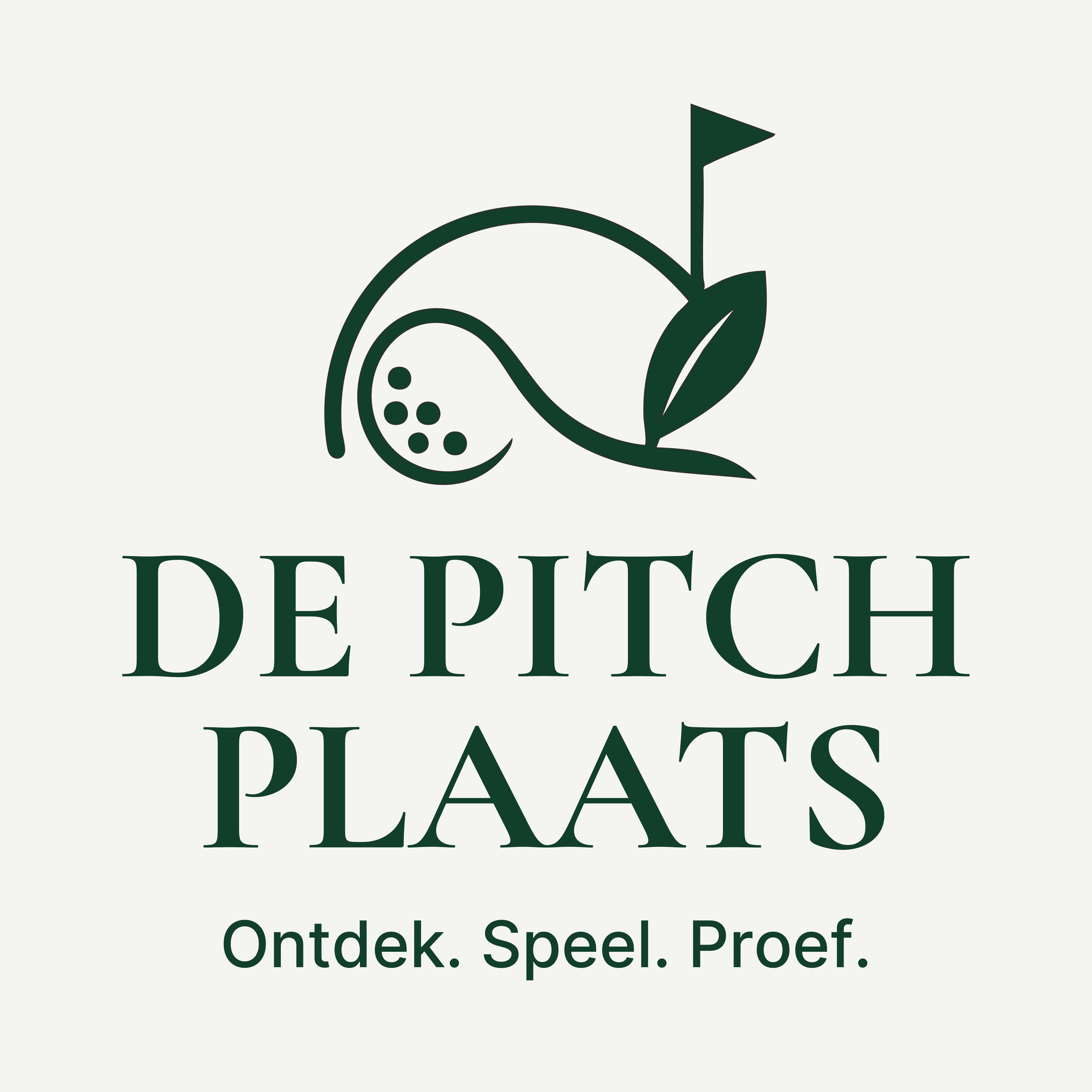 De Pitch Plaats